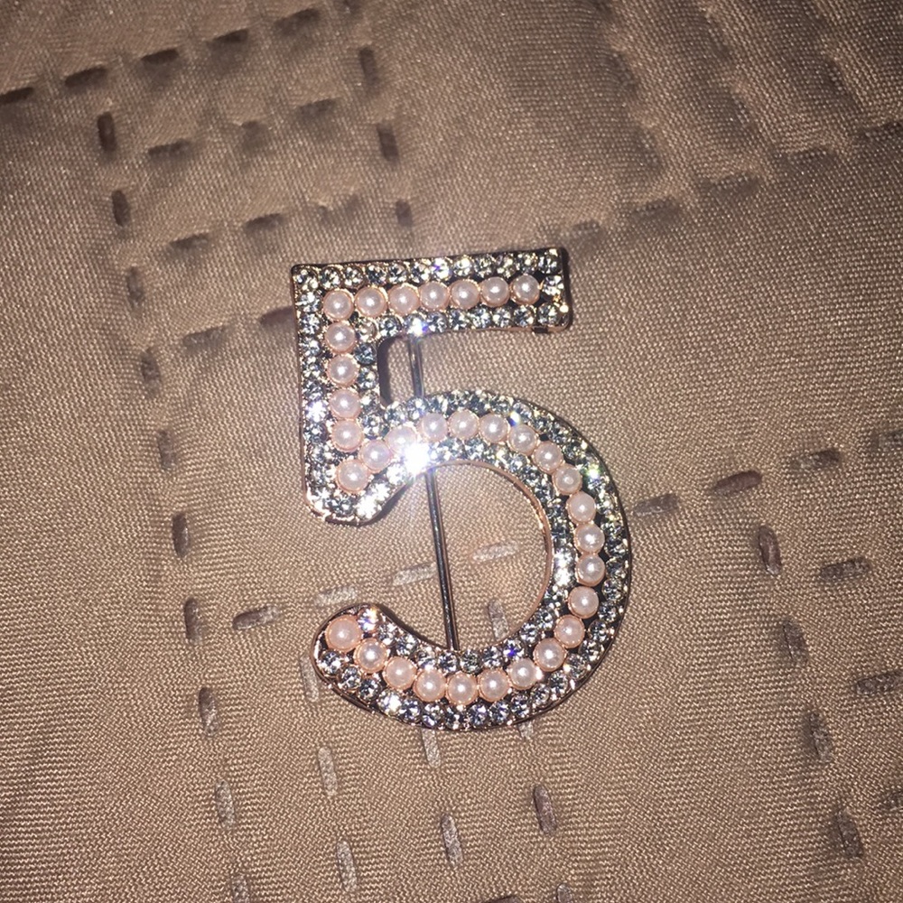 Brooch pin